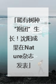 稀有树种“抱团”生长！沈阳成果在Nature杂志发表