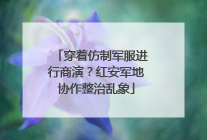 穿着仿制军服进行商演？红安军地协作整治乱象