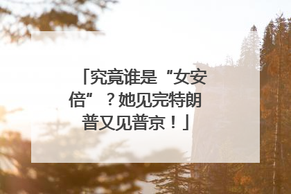 究竟谁是“女安倍”？她见完特朗普又见普京！