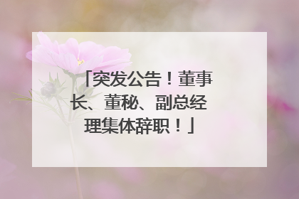 突发公告！董事长、董秘、副总经理集体辞职！