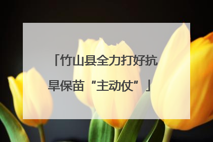 竹山县全力打好抗旱保苗“主动仗”