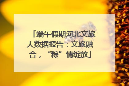 端午假期河北文旅大数据报告：文旅融合，“粽”情绽放