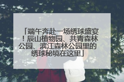 端午奔赴一场绣球盛宴！辰山植物园、共青森林公园、滨江森林公园里的绣球秘境在这里