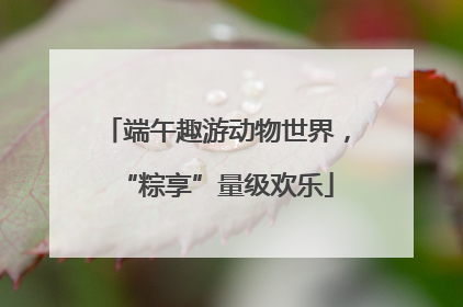 端午趣游动物世界，“粽享”量级欢乐