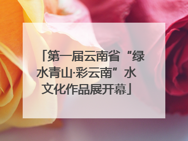 第一届云南省“绿水青山·彩云南”水文化作品展开幕