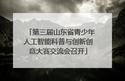 第三届山东省青少年人工智能科普与创新创意大赛交流会召开