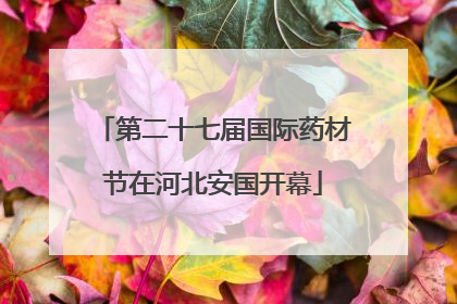 第二十七届国际药材节在河北安国开幕