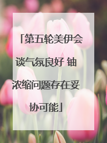 第五轮美伊会谈气氛良好 铀浓缩问题存在妥协可能