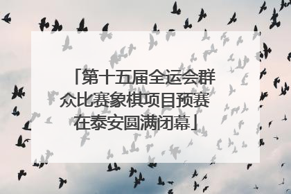 第十五届全运会群众比赛象棋项目预赛在泰安圆满闭幕