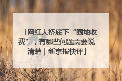 网红大桥底下“圈地收费”，有哪些问题需要说清楚｜新京报快评