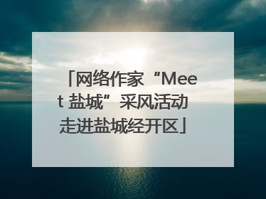 网络作家“Meet 盐城”采风活动走进盐城经开区