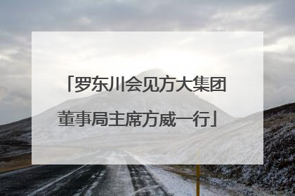 罗东川会见方大集团董事局主席方威一行
