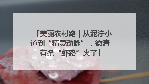 美丽农村路｜从泥泞小道到“精灵动脉”，德清有条“虾路”火了