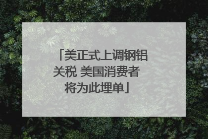 美正式上调钢铝关税 美国消费者将为此埋单