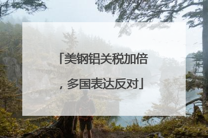 美钢铝关税加倍，多国表达反对
