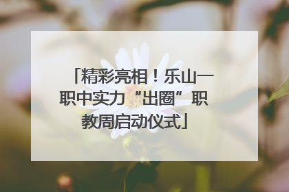 精彩亮相！乐山一职中实力“出圈”职教周启动仪式
