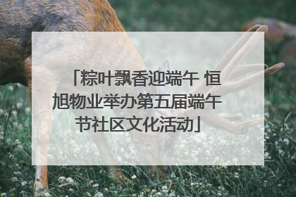 粽叶飘香迎端午 恒旭物业举办第五届端午节社区文化活动