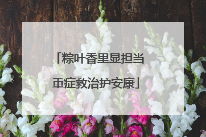 粽叶香里显担当 重症救治护安康