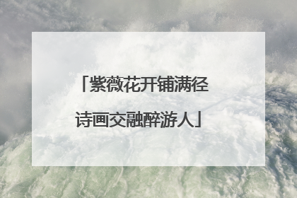 紫薇花开铺满径 诗画交融醉游人