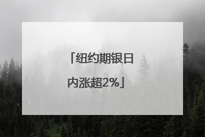 纽约期银日内涨超2%