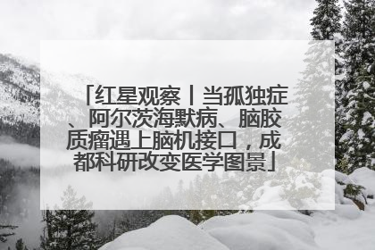 红星观察丨当孤独症、阿尔茨海默病、脑胶质瘤遇上脑机接口，成都科研改变医学图景