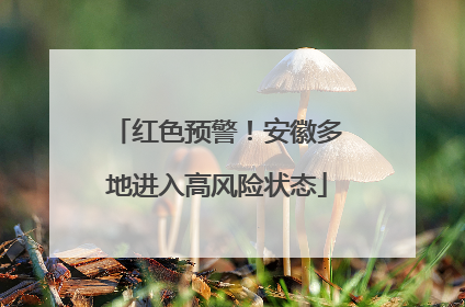 红色预警！安徽多地进入高风险状态