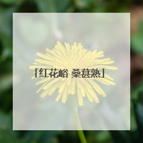 红花峪 桑葚熟