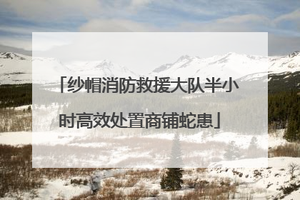 纱帽消防救援大队半小时高效处置商铺蛇患