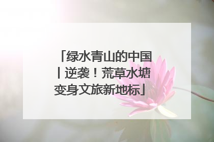 绿水青山的中国丨逆袭！荒草水塘变身文旅新地标
