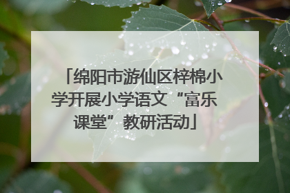 绵阳市游仙区梓棉小学开展小学语文“富乐课堂”教研活动