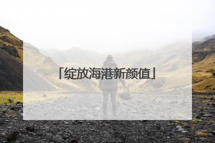 绽放海港新颜值