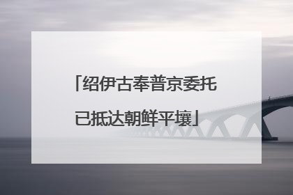 绍伊古奉普京委托已抵达朝鲜平壤