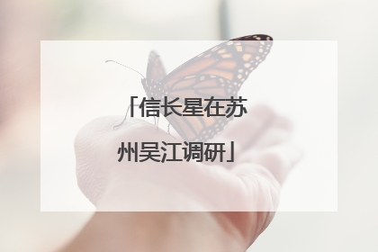 信长星在苏州吴江调研