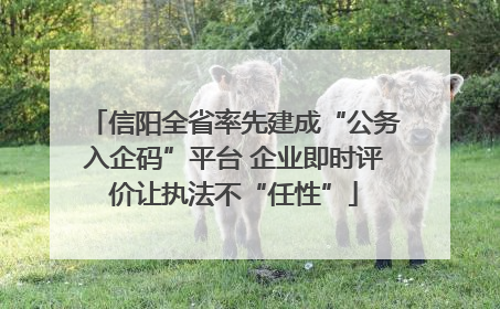 信阳全省率先建成“公务入企码”平台 企业即时评价让执法不“任性”