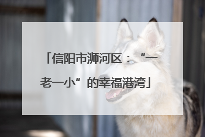 信阳市浉河区：“一老一小”的幸福港湾