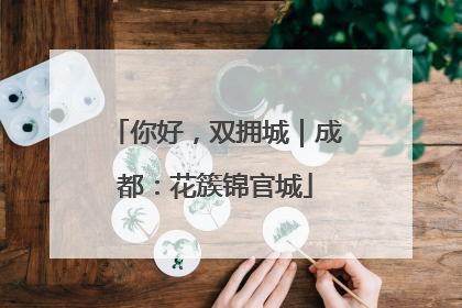 你好，双拥城｜成都：花簇锦官城