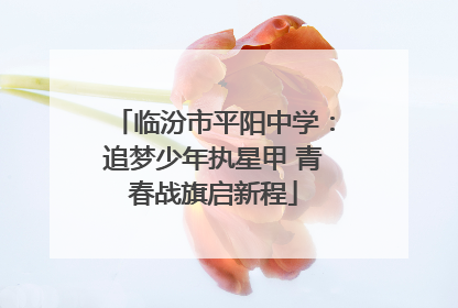 临汾市平阳中学：追梦少年执星甲 青春战旗启新程
