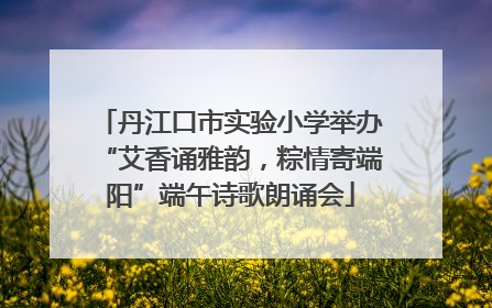 丹江口市实验小学举办“艾香诵雅韵，粽情寄端阳”端午诗歌朗诵会