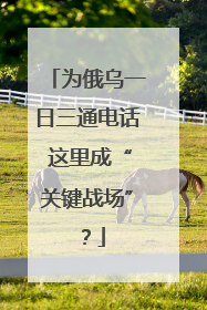 为俄乌一日三通电话 这里成“关键战场”？