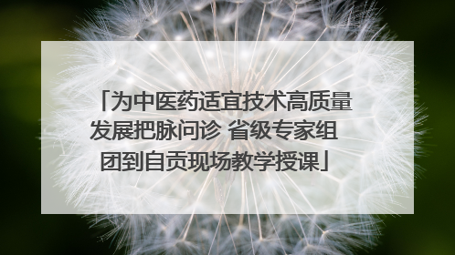 为中医药适宜技术高质量发展把脉问诊 省级专家组团到自贡现场教学授课
