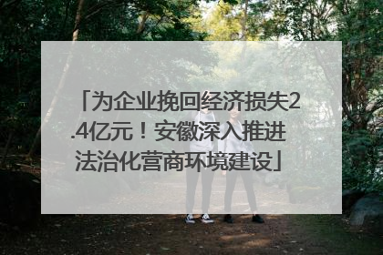 为企业挽回经济损失2.4亿元！安徽深入推进法治化营商环境建设
