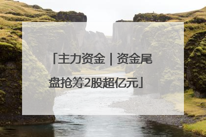 主力资金｜资金尾盘抢筹2股超亿元