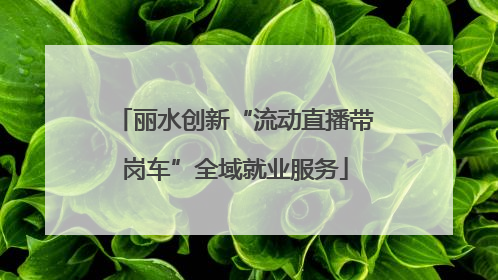 丽水创新“流动直播带岗车”全域就业服务