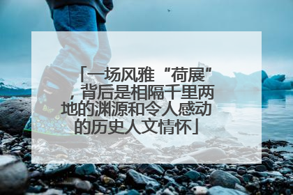 一场风雅“荷展”，背后是相隔千里两地的渊源和令人感动的历史人文情怀