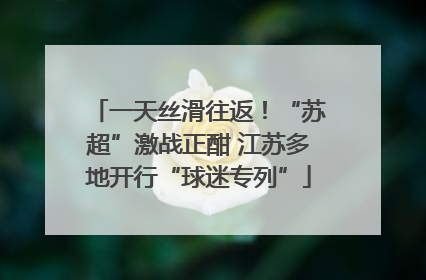 一天丝滑往返！“苏超”激战正酣 江苏多地开行“球迷专列”