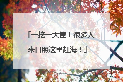 一挖一大筐！很多人来日照这里赶海！