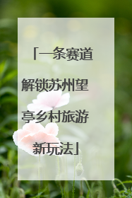 一条赛道解锁苏州望亭乡村旅游新玩法