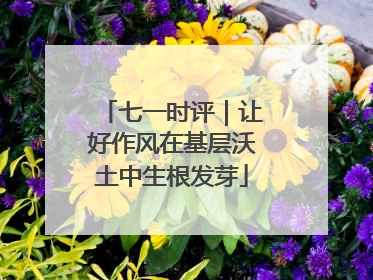 七一时评|让好作风在基层沃土中生根发芽