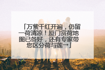 万紫千红开遍，仍留一荷清凉！厦门赏荷地图已备好，还有专家带您区分荷与莲→