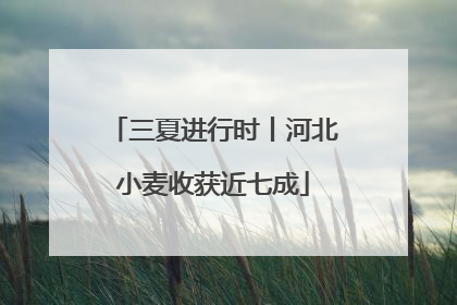 三夏进行时丨河北小麦收获近七成
